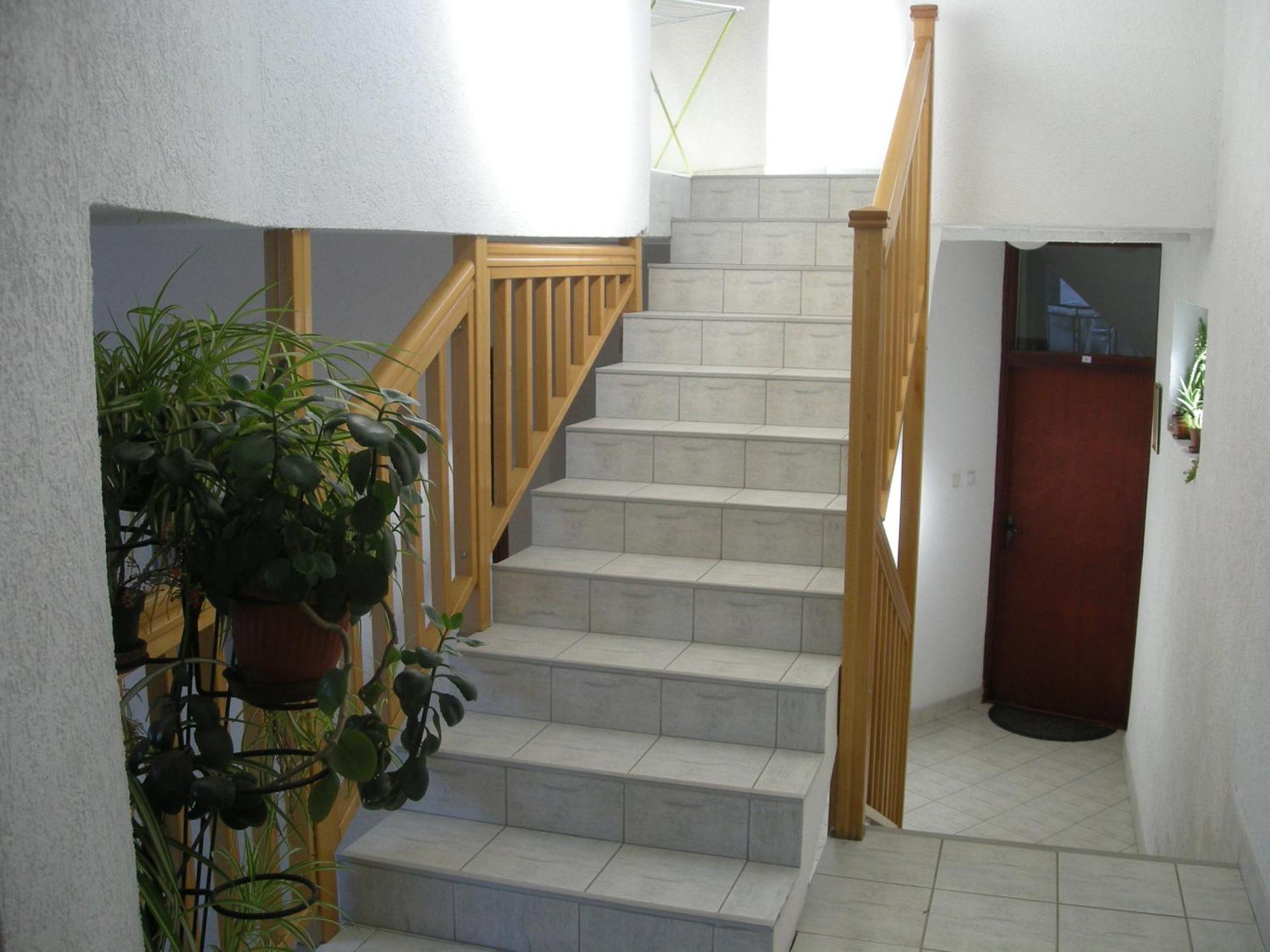 Apartments Becic Budua Esterno foto
