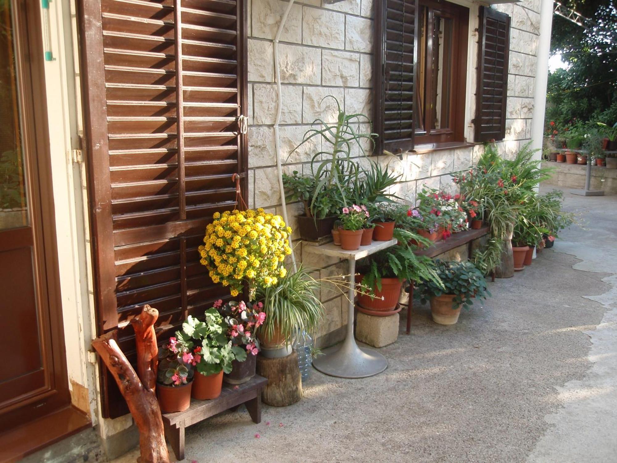 Apartments Becic Budua Esterno foto